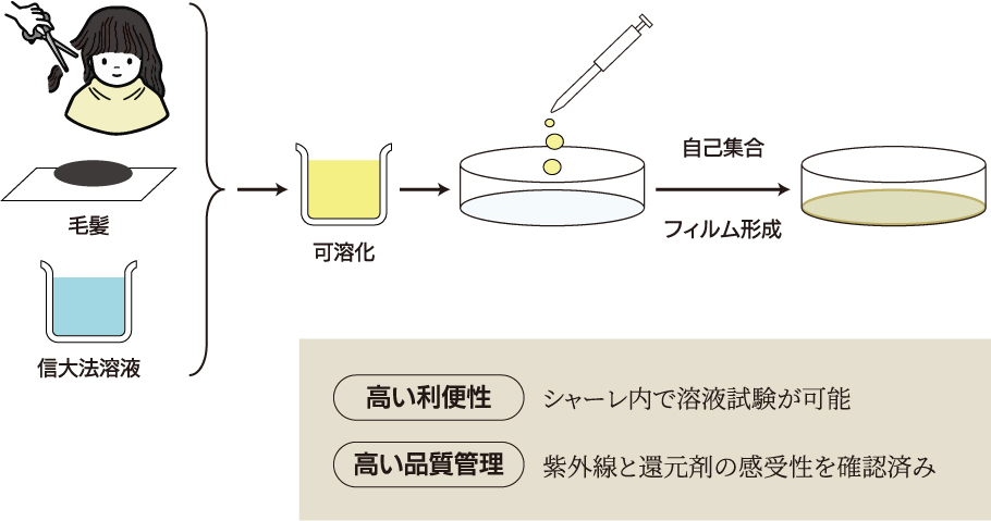 【ケラチンフィルム】の作製方法