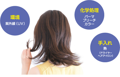 毛髪ダメージの要因
